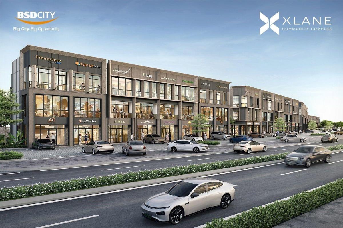 XLANE Community Complex Standart